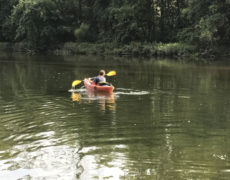 Campamentos de verano en el extranjero