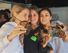 Fotos de campamentos de verano en inglés, actividades y cursos en el extranjero