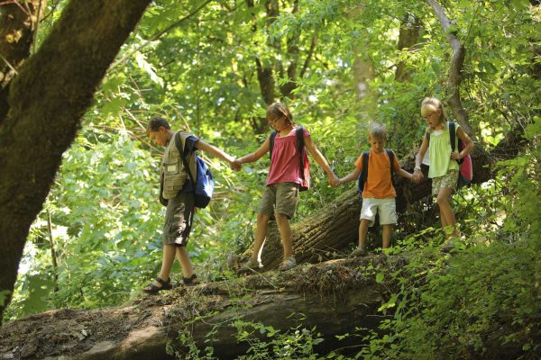 img_mcgrath_foto_verano_usa_2000_Young-campers_Nature-trail-in-the-woods.jpg
